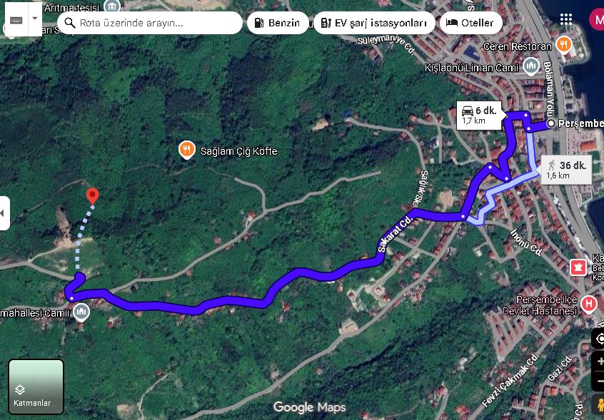 PERŞEMBE KOZAĞZI ARSA 2